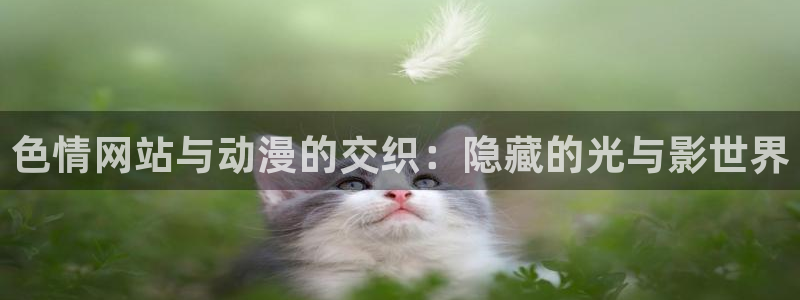 好看的日韩动漫在线免费观看：色情网站与动漫的交织：隐藏的光与影世界